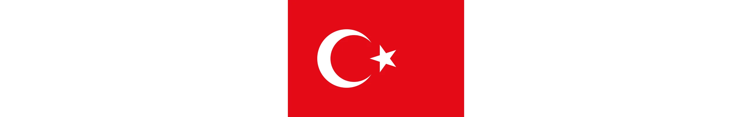 Kurumsal